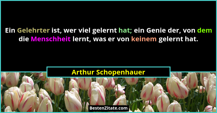Ein Gelehrter ist, wer viel gelernt hat; ein Genie der, von dem die Menschheit lernt, was er von keinem gelernt hat.... - Arthur Schopenhauer