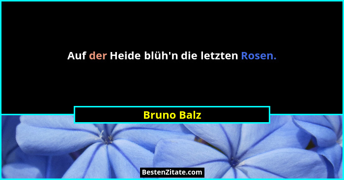 Auf der Heide blüh'n die letzten Rosen.... - Bruno Balz