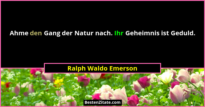 Ahme den Gang der Natur nach. Ihr Geheimnis ist Geduld.... - Ralph Waldo Emerson