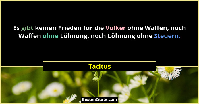 Es gibt keinen Frieden für die Völker ohne Waffen, noch Waffen ohne Löhnung, noch Löhnung ohne Steuern.... - Tacitus