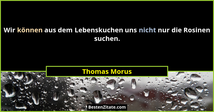 Wir können aus dem Lebenskuchen uns nicht nur die Rosinen suchen.... - Thomas Morus