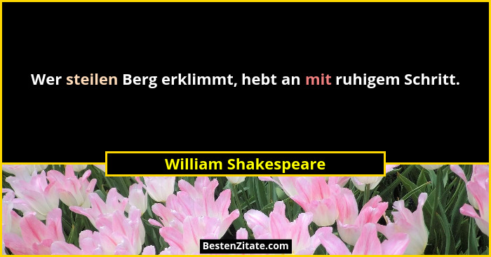 Wer steilen Berg erklimmt, hebt an mit ruhigem Schritt.... - William Shakespeare