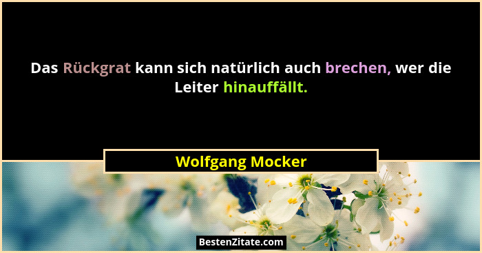 Das Rückgrat kann sich natürlich auch brechen, wer die Leiter hinauffällt.... - Wolfgang Mocker