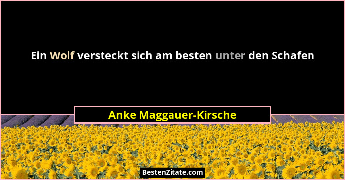 Ein Wolf versteckt sich am besten unter den Schafen... - Anke Maggauer-Kirsche