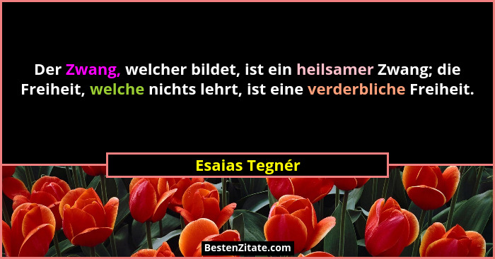 Der Zwang, welcher bildet, ist ein heilsamer Zwang; die Freiheit, welche nichts lehrt, ist eine verderbliche Freiheit.... - Esaias Tegnér