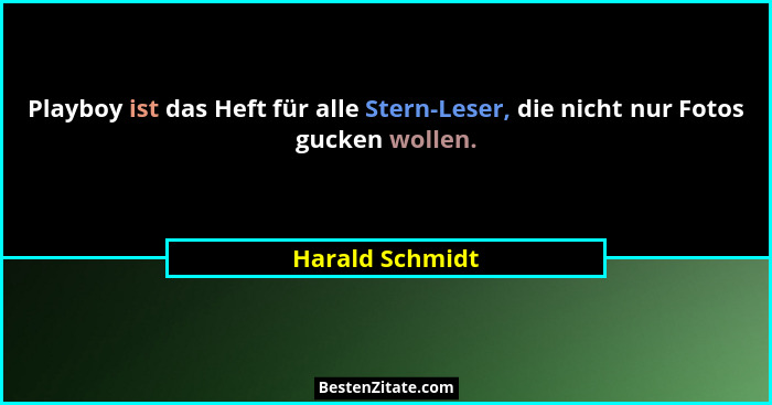 Playboy ist das Heft für alle Stern-Leser, die nicht nur Fotos gucken wollen.... - Harald Schmidt