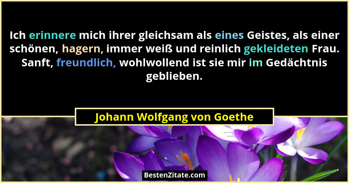 Ich erinnere mich ihrer gleichsam als eines Geistes, als einer schönen, hagern, immer weiß und reinlich gekleideten Frau.... - Johann Wolfgang von Goethe