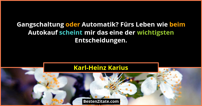 Gangschaltung oder Automatik? Fürs Leben wie beim Autokauf scheint mir das eine der wichtigsten Entscheidungen.... - Karl-Heinz Karius