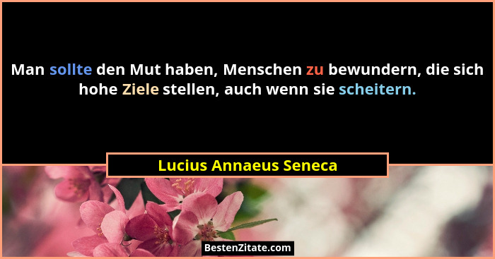Man sollte den Mut haben, Menschen zu bewundern, die sich hohe Ziele stellen, auch wenn sie scheitern.... - Lucius Annaeus Seneca