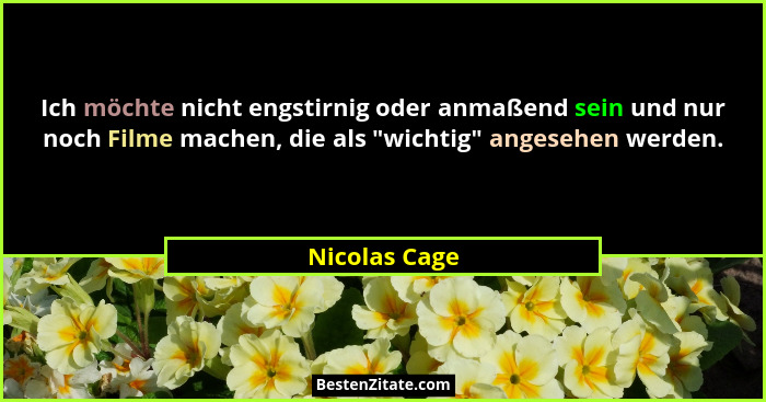 Ich möchte nicht engstirnig oder anmaßend sein und nur noch Filme machen, die als "wichtig" angesehen werden.... - Nicolas Cage