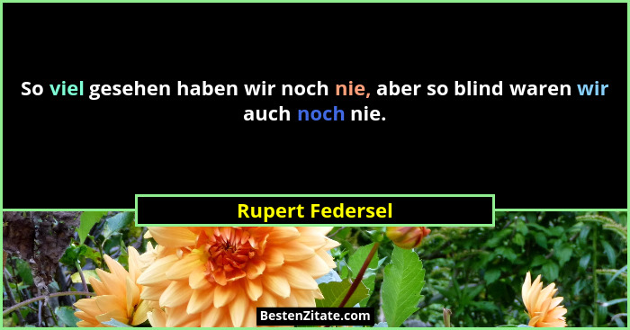 So viel gesehen haben wir noch nie, aber so blind waren wir auch noch nie.... - Rupert Federsel
