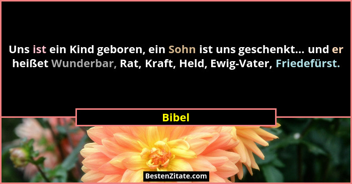 Uns ist ein Kind geboren, ein Sohn ist uns geschenkt... und er heißet Wunderbar, Rat, Kraft, Held, Ewig-Vater, Friedefürst.... - Bibel