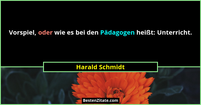 Vorspiel, oder wie es bei den Pädagogen heißt: Unterricht.... - Harald Schmidt