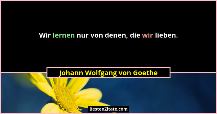 Wir lernen nur von denen, die wir lieben.... - Johann Wolfgang von Goethe