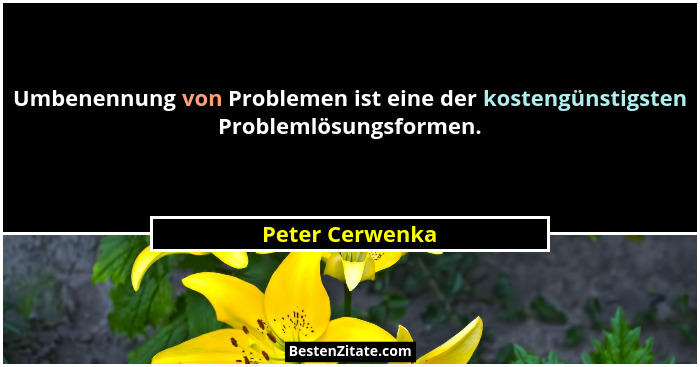 Umbenennung von Problemen ist eine der kostengünstigsten Problemlösungsformen.... - Peter Cerwenka