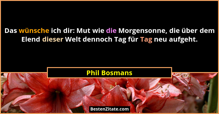 Das wünsche ich dir: Mut wie die Morgensonne, die über dem Elend dieser Welt dennoch Tag für Tag neu aufgeht.... - Phil Bosmans