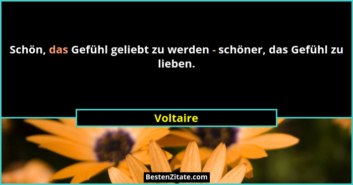 Schön, das Gefühl geliebt zu werden - schöner, das Gefühl zu lieben.... - Voltaire