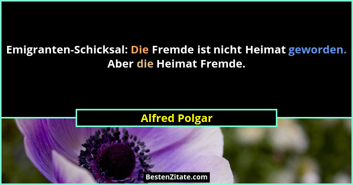 Emigranten-Schicksal: Die Fremde ist nicht Heimat geworden. Aber die Heimat Fremde.... - Alfred Polgar