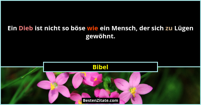 Ein Dieb ist nicht so böse wie ein Mensch, der sich zu Lügen gewöhnt.... - Bibel