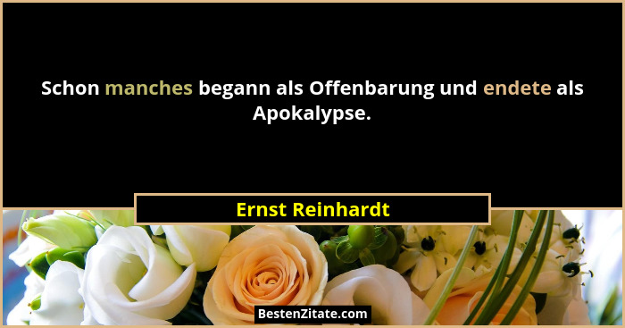 Schon manches begann als Offenbarung und endete als Apokalypse.... - Ernst Reinhardt