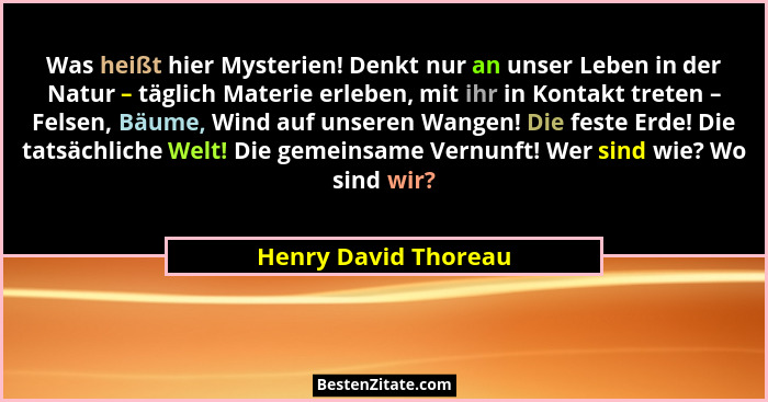 Was heißt hier Mysterien! Denkt nur an unser Leben in der Natur – täglich Materie erleben, mit ihr in Kontakt treten – Felsen, B... - Henry David Thoreau