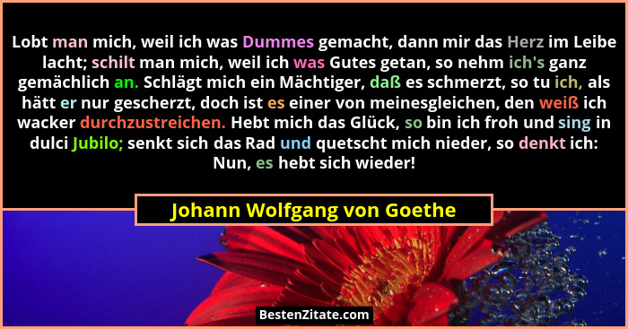 Lobt man mich, weil ich was Dummes gemacht, dann mir das Herz im Leibe lacht; schilt man mich, weil ich was Gutes getan,... - Johann Wolfgang von Goethe