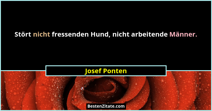 Stört nicht fressenden Hund, nicht arbeitende Männer.... - Josef Ponten