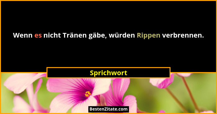 Wenn es nicht Tränen gäbe, würden Rippen verbrennen.... - Sprichwort