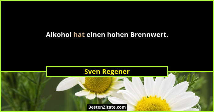 Alkohol hat einen hohen Brennwert.... - Sven Regener
