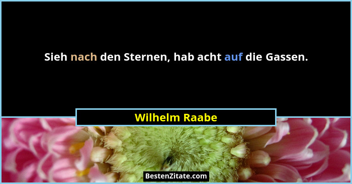 Sieh nach den Sternen, hab acht auf die Gassen.... - Wilhelm Raabe