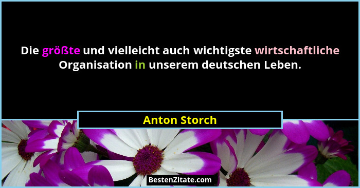 Die größte und vielleicht auch wichtigste wirtschaftliche Organisation in unserem deutschen Leben.... - Anton Storch