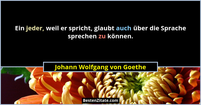 Ein jeder, weil er spricht, glaubt auch über die Sprache sprechen zu können.... - Johann Wolfgang von Goethe