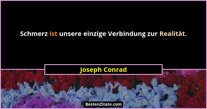 Schmerz ist unsere einzige Verbindung zur Realität.... - Joseph Conrad