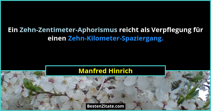 Ein Zehn-Zentimeter-Aphorismus reicht als Verpflegung für einen Zehn-Kilometer-Spaziergang.... - Manfred Hinrich