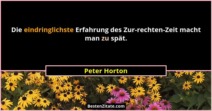 Die eindringlichste Erfahrung des Zur-rechten-Zeit macht man zu spät.... - Peter Horton