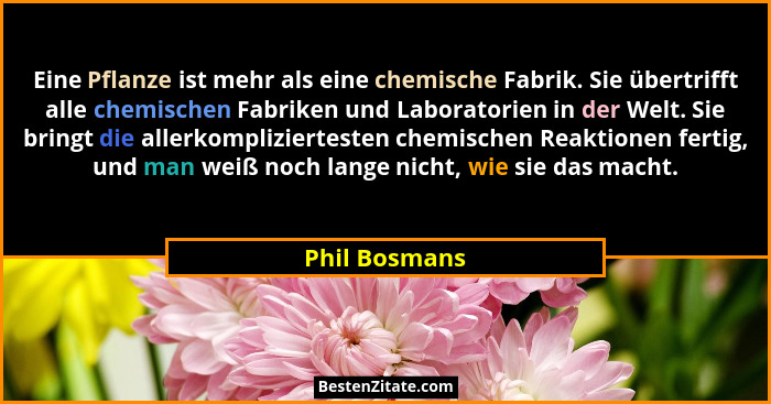 Eine Pflanze ist mehr als eine chemische Fabrik. Sie übertrifft alle chemischen Fabriken und Laboratorien in der Welt. Sie bringt die a... - Phil Bosmans