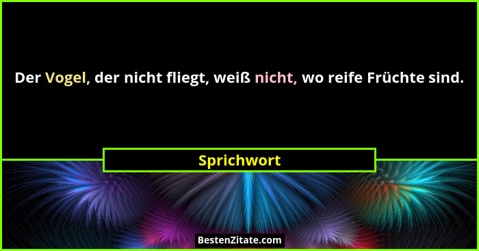Der Vogel, der nicht fliegt, weiß nicht, wo reife Früchte sind.... - Sprichwort