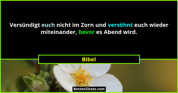 Versündigt euch nicht im Zorn und versöhnt euch wieder miteinander, bevor es Abend wird.... - Bibel