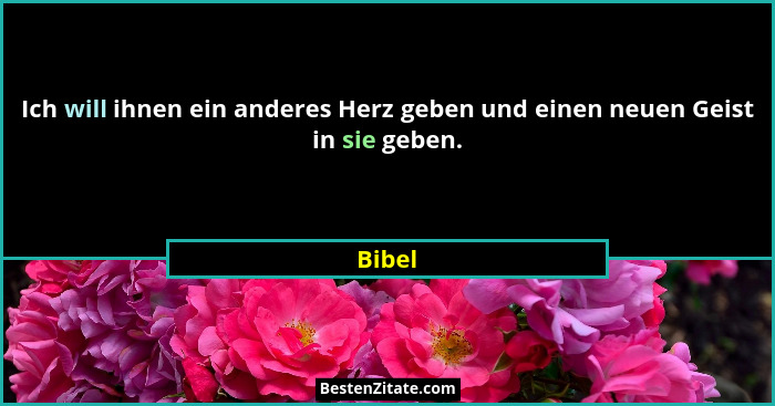 Ich will ihnen ein anderes Herz geben und einen neuen Geist in sie geben.... - Bibel