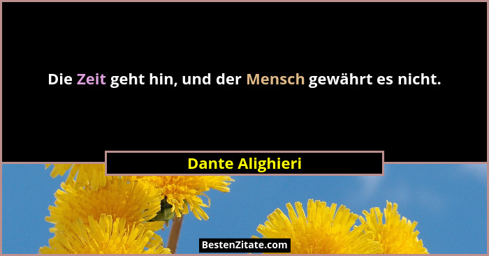 Die Zeit geht hin, und der Mensch gewährt es nicht.... - Dante Alighieri