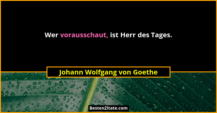 Wer vorausschaut, ist Herr des Tages.... - Johann Wolfgang von Goethe
