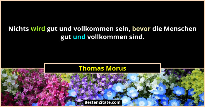 Nichts wird gut und vollkommen sein, bevor die Menschen gut und vollkommen sind.... - Thomas Morus