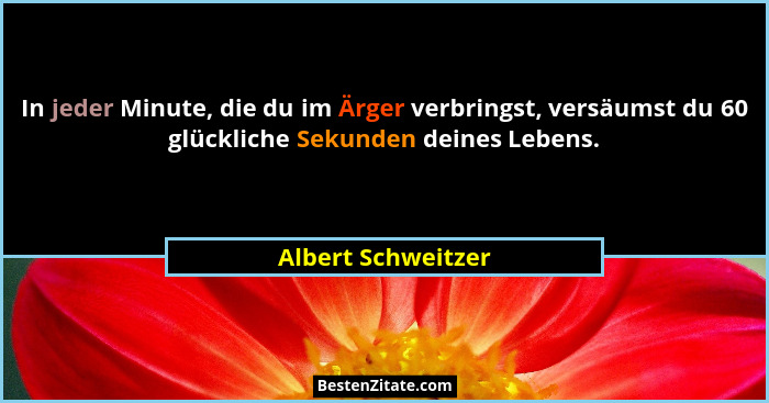 In jeder Minute, die du im Ärger verbringst, versäumst du 60 glückliche Sekunden deines Lebens.... - Albert Schweitzer