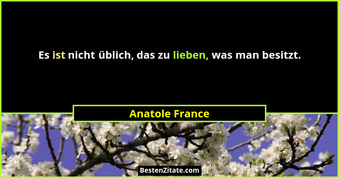 Es ist nicht üblich, das zu lieben, was man besitzt.... - Anatole France