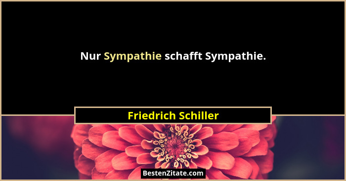 Nur Sympathie schafft Sympathie.... - Friedrich Schiller