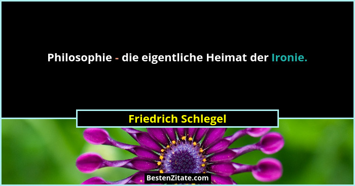 Philosophie - die eigentliche Heimat der Ironie.... - Friedrich Schlegel