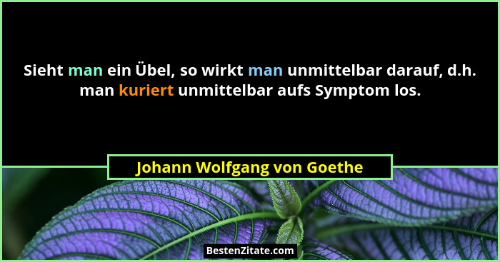 Sieht man ein Übel, so wirkt man unmittelbar darauf, d.h. man kuriert unmittelbar aufs Symptom los.... - Johann Wolfgang von Goethe