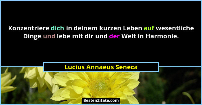 Konzentriere dich in deinem kurzen Leben auf wesentliche Dinge und lebe mit dir und der Welt in Harmonie.... - Lucius Annaeus Seneca