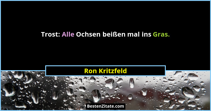 Trost: Alle Ochsen beißen mal ins Gras.... - Ron Kritzfeld