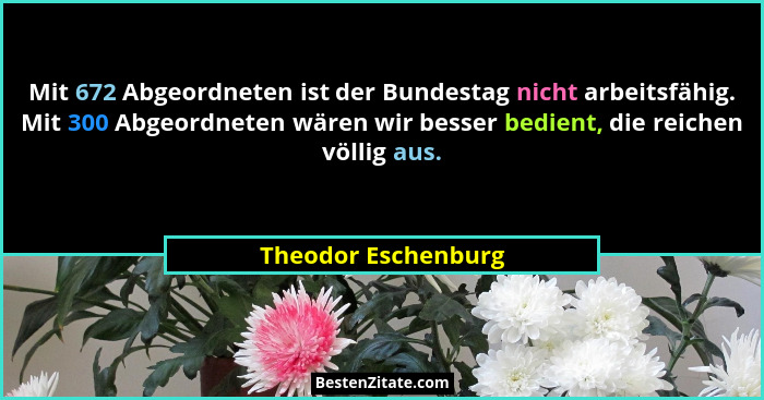 Mit 672 Abgeordneten ist der Bundestag nicht arbeitsfähig. Mit 300 Abgeordneten wären wir besser bedient, die reichen völlig aus.... - Theodor Eschenburg